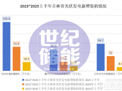 收益下滑至6.5%！2026分布式光伏如何“自救”？